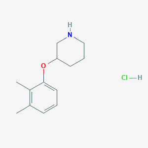 molecular formula C13H20ClNO B1440726 3-(2,3-Dimethylphenoxy)piperidine hydrochloride CAS No. 1220018-19-8