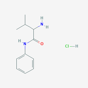 molecular formula C11H17ClN2O B1440727 2-Amino-3-methyl-N-phenylbutanamide hydrochloride CAS No. 635682-91-6