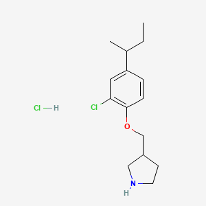 molecular formula C15H23Cl2NO B1440735 3-{[4-(Sec-butyl)-2-chlorophenoxy]-methyl}pyrrolidine hydrochloride CAS No. 1219979-34-6