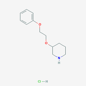 molecular formula C13H20ClNO2 B1440738 3-(2-Phenoxyethoxy)piperidine hydrochloride CAS No. 1220036-66-7