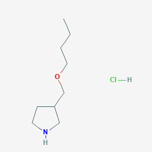 molecular formula C9H20ClNO B1440739 3-(Butoxymethyl)pyrrolidine hydrochloride CAS No. 1220036-70-3