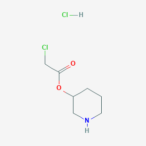 molecular formula C7H13Cl2NO2 B1440744 3-Piperidinyl 2-chloroacetate hydrochloride CAS No. 1220037-48-8