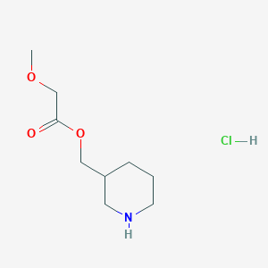 molecular formula C9H18ClNO3 B1440745 3-Piperidinylmethyl 2-methoxyacetate hydrochloride CAS No. 1219979-77-7