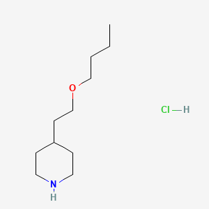 molecular formula C11H24ClNO B1440750 4-(2-Butoxyethyl)piperidine hydrochloride CAS No. 1219967-64-2