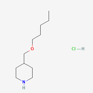 molecular formula C11H24ClNO B1440760 4-[(Pentyloxy)methyl]piperidine hydrochloride CAS No. 1220027-09-7