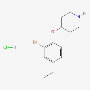 molecular formula C13H19BrClNO B1440763 4-(2-溴-4-乙基苯氧基)哌啶盐酸盐 CAS No. 1220032-78-9