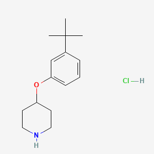 molecular formula C15H24ClNO B1440768 4-[3-(Tert-butyl)phenoxy]piperidine hydrochloride CAS No. 1220027-89-3