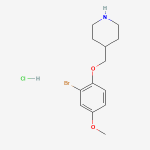 molecular formula C13H19BrClNO2 B1440780 2-Bromo-4-methoxyphenyl 4-piperidinylmethyl ether hydrochloride CAS No. 1220017-42-4
