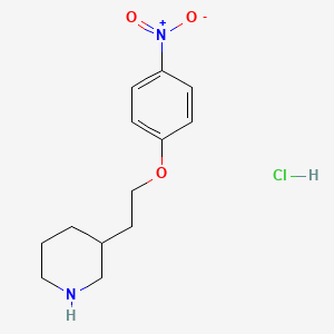 molecular formula C13H19ClN2O3 B1440781 3-[2-(4-Nitrophenoxy)ethyl]piperidine hydrochloride CAS No. 1220032-28-9