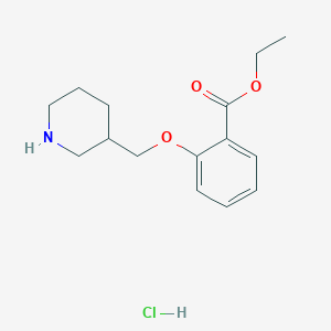 molecular formula C15H22ClNO3 B1440791 Ethyl 2-(3-piperidinylmethoxy)benzoate hydrochloride CAS No. 1219979-25-5