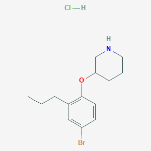 molecular formula C14H21BrClNO B1440794 3-(4-Bromo-2-propylphenoxy)piperidine hydrochloride CAS No. 1220017-64-0