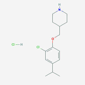 molecular formula C15H23Cl2NO B1440795 4-[(2-Chloro-4-isopropylphenoxy)methyl]piperidine hydrochloride CAS No. 1220019-92-0