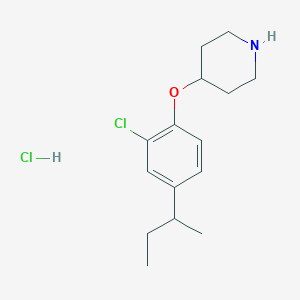 molecular formula C15H23Cl2NO B1440796 4-(4-(sec-Butyl)-2-chlorophenoxy)piperidine hydrochloride CAS No. 1220030-91-0