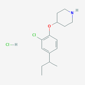 molecular formula C15H23Cl2NO B1440796 4-[4-(sec-Butyl)-2-chlorophenoxy]piperidine hydrochloride CAS No. 1220030-91-0