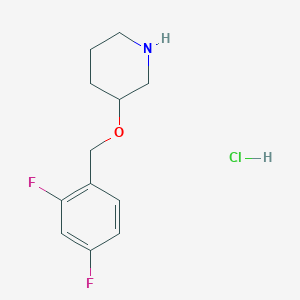 molecular formula C12H16ClF2NO B1440798 3-[(2,4-二氟苄基)氧基]哌啶盐酸盐 CAS No. 1220020-22-3