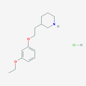 molecular formula C15H24ClNO2 B1440801 3-[2-(3-Ethoxyphenoxy)ethyl]piperidine hydrochloride CAS No. 1219982-78-1