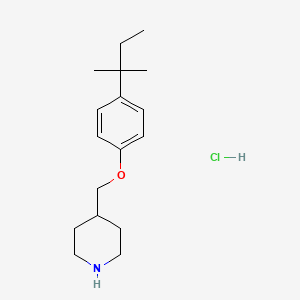 molecular formula C17H28ClNO B1440802 4-{[4-(tert-Pentyl)phenoxy]methyl}piperidine hydrochloride CAS No. 1219976-18-7