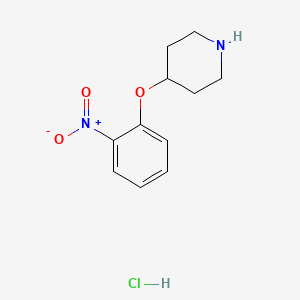 molecular formula C11H15ClN2O3 B1440832 4-(2-硝基苯氧基)哌啶盐酸盐 CAS No. 1072944-49-0