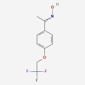 molecular formula C10H10F3NO2 B1440898 N-{1-[4-(2,2,2-trifluoroethoxy)phenyl]ethylidene}hydroxylamine CAS No. 139486-44-5