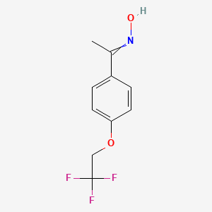molecular formula C10H10F3NO2 B1440898 N-[1-[4-(2,2,2-trifluoroethoxy)phenyl]ethylidene]hydroxylamine CAS No. 139486-44-5