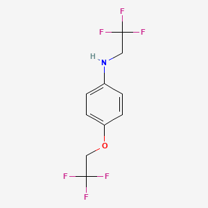 molecular formula C10H9F6NO B1440904 N,O-Bis(2,2,2-trifluoroethyl)-4-aminophenol CAS No. 1309602-67-2