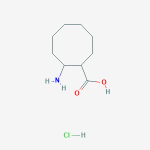 molecular formula C9H18ClNO2 B1440975 2-Aminocyclooctane-1-carboxylic acid hydrochloride CAS No. 1384429-40-6
