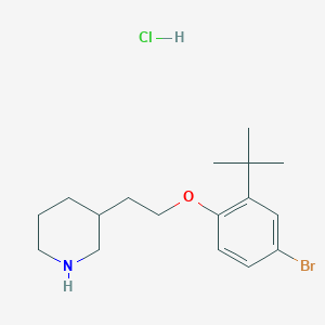 molecular formula C17H27BrClNO B1441041 3-{2-[4-Bromo-2-(tert-butyl)phenoxy]-ethyl}piperidine hydrochloride CAS No. 1220027-53-1