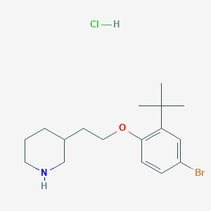 3-{2-[4-Bromo-2-(tert-butyl)phenoxy]-ethyl}piperidine hydrochloride