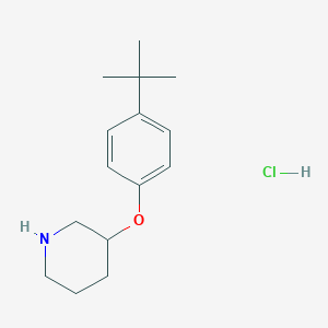 molecular formula C15H24ClNO B1441045 3-(4-(tert-Butyl)phenoxy)piperidine hydrochloride CAS No. 1219982-23-6