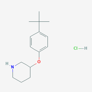 3-[4-(Tert-butyl)phenoxy]piperidine hydrochloride