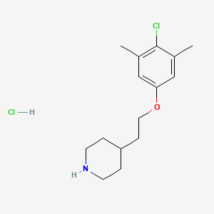 molecular formula C15H23Cl2NO B1441047 4-[2-(4-Chloro-3,5-dimethylphenoxy)ethyl]-piperidine hydrochloride CAS No. 1220032-07-4