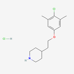 4-[2-(4-Chloro-3,5-dimethylphenoxy)ethyl]-piperidine hydrochloride