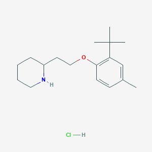 2-{2-[2-(Tert-butyl)-4-methylphenoxy]-ethyl}piperidine hydrochloride