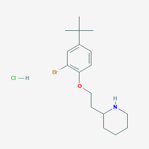 molecular formula C17H27BrClNO B1441101 2-{2-[2-Bromo-4-(tert-butyl)phenoxy]-ethyl}piperidine hydrochloride CAS No. 1219979-22-2