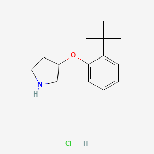 molecular formula C14H22ClNO B1441123 3-[2-(Tert-butyl)phenoxy]pyrrolidine hydrochloride CAS No. 1146956-94-6