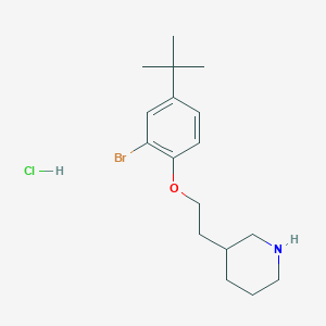 molecular formula C17H27BrClNO B1441127 3-{2-[2-Bromo-4-(tert-butyl)phenoxy]-ethyl}piperidine hydrochloride CAS No. 1219961-16-6