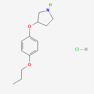 3-(4-Propoxyphenoxy)pyrrolidine hydrochloride