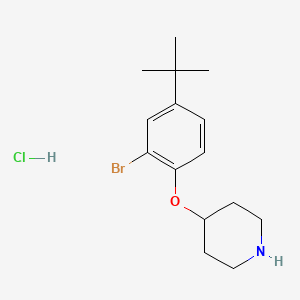 molecular formula C15H23BrClNO B1441157 4-[2-Bromo-4-(tert-butyl)phenoxy]piperidine hydrochloride CAS No. 1220021-49-7