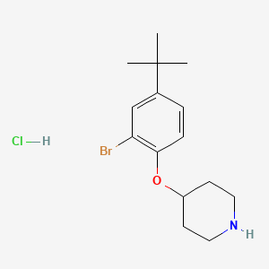 4-[2-Bromo-4-(tert-butyl)phenoxy]piperidine hydrochloride