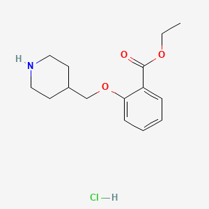 molecular formula C15H22ClNO3 B1441172 Ethyl 2-(4-piperidinylmethoxy)benzoate hydrochloride CAS No. 1219979-32-4