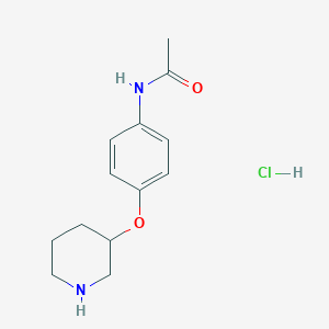 molecular formula C13H19ClN2O2 B1441178 N-[4-(3-Piperidinyloxy)phenyl]acetamide hydrochloride CAS No. 1220037-39-7