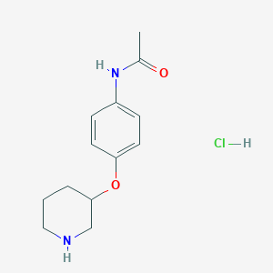 N-[4-(3-Piperidinyloxy)phenyl]acetamide hydrochloride