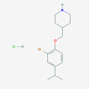 molecular formula C15H23BrClNO B1441179 4-((2-Bromo-4-isopropylphenoxy)methyl)piperidine hydrochloride CAS No. 1220032-77-8