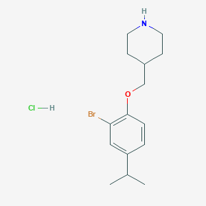 4-[(2-Bromo-4-isopropylphenoxy)methyl]piperidine hydrochloride