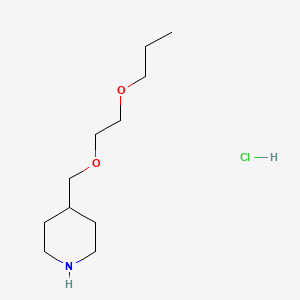 4-[(2-Propoxyethoxy)methyl]piperidine hydrochloride