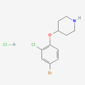 4-(4-Bromo-2-chlorophenoxy)piperidine hydrochloride