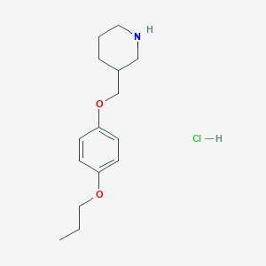 3-[(4-Propoxyphenoxy)methyl]piperidine hydrochloride
