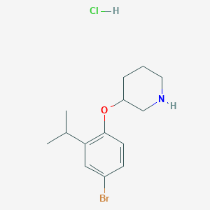 3-(4-Bromo-2-isopropylphenoxy)piperidine hydrochloride