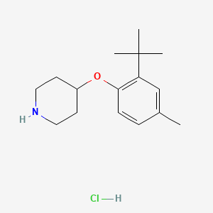 molecular formula C16H26ClNO B1441185 4-(2-(tert-Butyl)-4-methylphenoxy)piperidine hydrochloride CAS No. 1219979-38-0