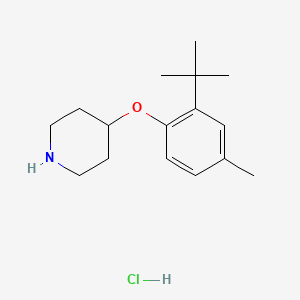 4-[2-(tert-Butyl)-4-methylphenoxy]piperidine hydrochloride